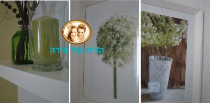 אלמנטים ירקרקים