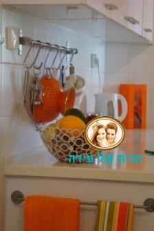 d7a2d7a0d7aa31 ידית מתכת על גב הארון
