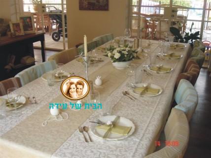 עיצוב שולחן-טלי רונן ויזל